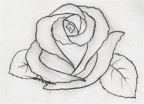 Pin by Martine Lub on leren tekenen | Pencil drawings of flowers ...