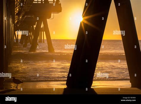 Californian sunset under Venice beach pier Stock Photo - Alamy