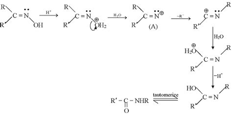 Beckmann Rearrangement | Reaction Mechanism of Beckmann Rearrangement