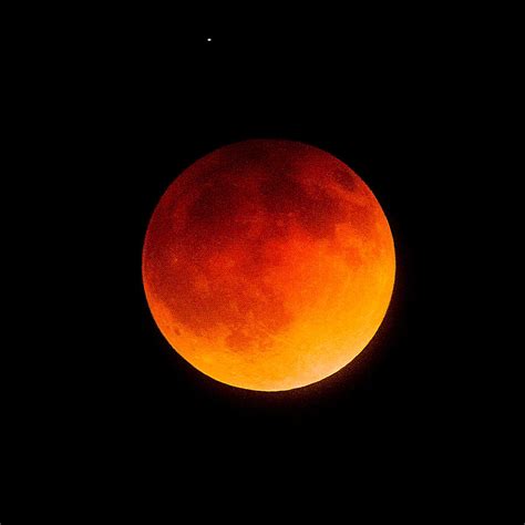 Blood Moon Eclipse Photograph by Gary Brainard