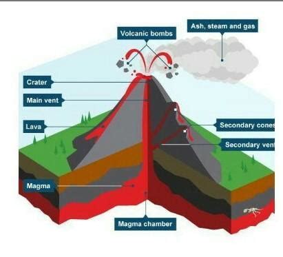 explain the formation of a volcanic mountain with a suitable diagram ...