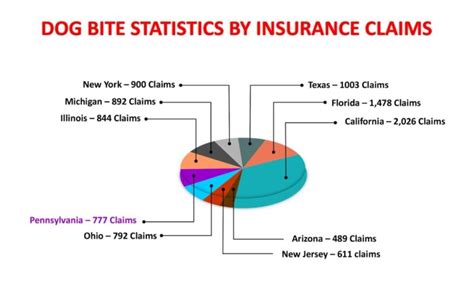 Dog Bite Statistics 2024 - Bibi Marita