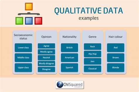 4 Types of Data in Statistics – Definitions, Uses & Examples