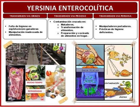 Lo que debes saber sobre Yersinia Enterocolítica