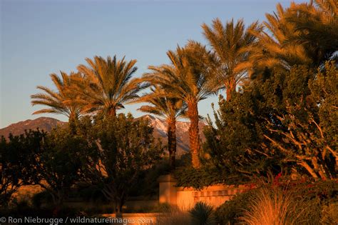 Rancho Mirage | Photos by Ron Niebrugge