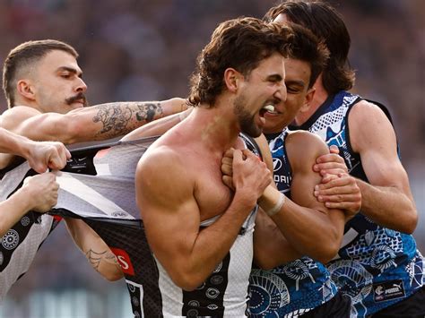 Collingwood thriving despite opponents targeting Nick Daicos, playing ...