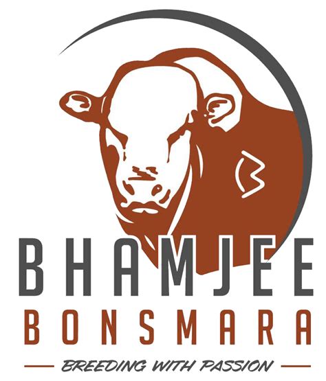 About Bonsmara - Bhamjees Bonsmara