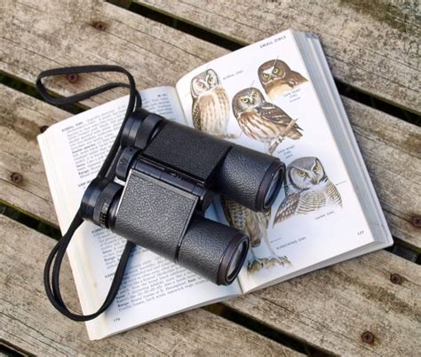 7 Of The Best Binoculars For Birding & Bird Watching Examined