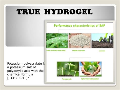 PPT - Applications of Super Absorbent Polymers in Agriculture ...