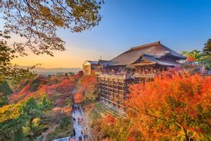 Tokyo vs Kyoto:6 Main Travel Differences | Asia Highlights