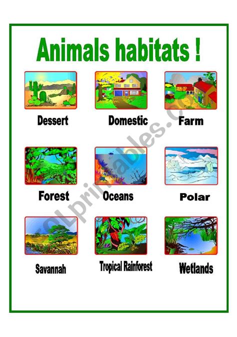 Wild Animals Habitat And Food Worksheet - Bank2home.com