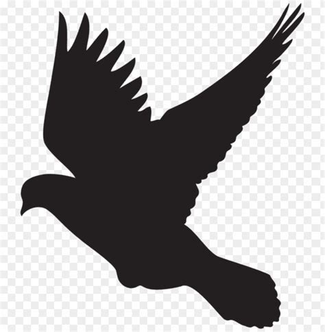 flying dove silhouette png png - Free PNG Images | TOPpng