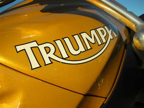 Free download Triumph Motorcycles Logo Triumph motorcycles logo 7273 ...