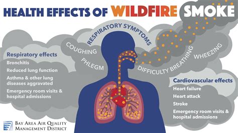 Health Impacts of Wildfire Smoke | In the San Francisco Bay Area ...