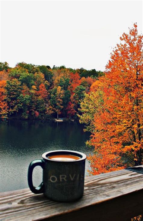 *the perfect fall morning* - image #4814772 by LuciaLin on Favim.com