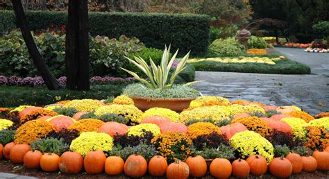 Dallas Arboretum, Autumn at the Arboretum, Fall, Pumpkins | Dallas ...