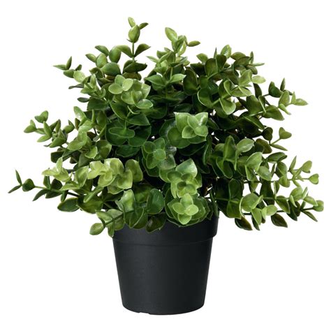 Artificial Potted Plant Oregano PNG Image - PurePNG | Free transparent ...