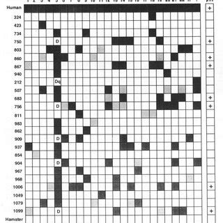 The Gene Encoding p58 Is on Chromosome 19 | Download Scientific Diagram