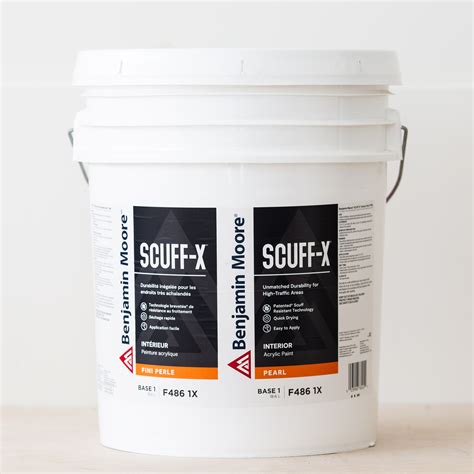 Scuff X Interior Paint | Interior Paint | Langley, BC