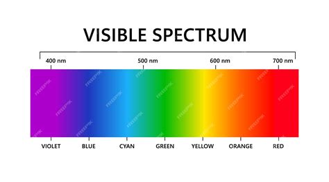 Premium Vector | Visible light spectrum Electromagnetic visible color ...