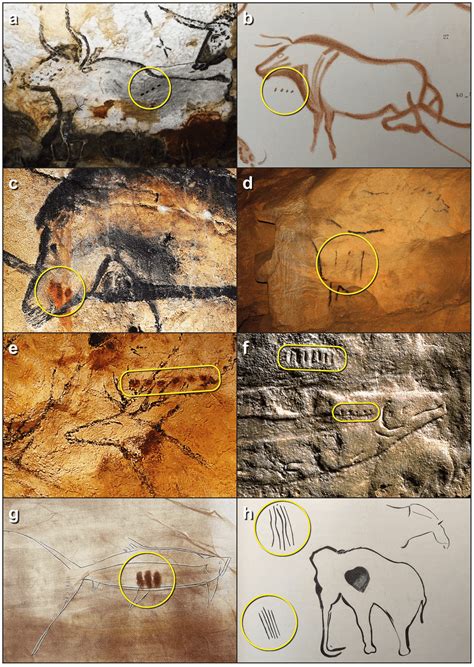 Mysterious markings on ancient cave paintings finally decoded