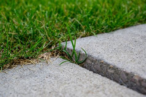 How To Prevent Frost Heave: Is It Possible? - Farmer Grows