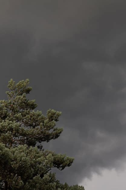 Premium Photo | Dark moody thunder storm sky before rain and heavy wind ...