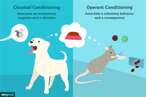 Classical Conditioning vs. Operant Conditioning