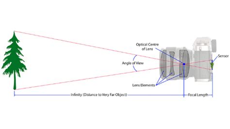 American Academy of Photography | Blog | Understanding Focal Length