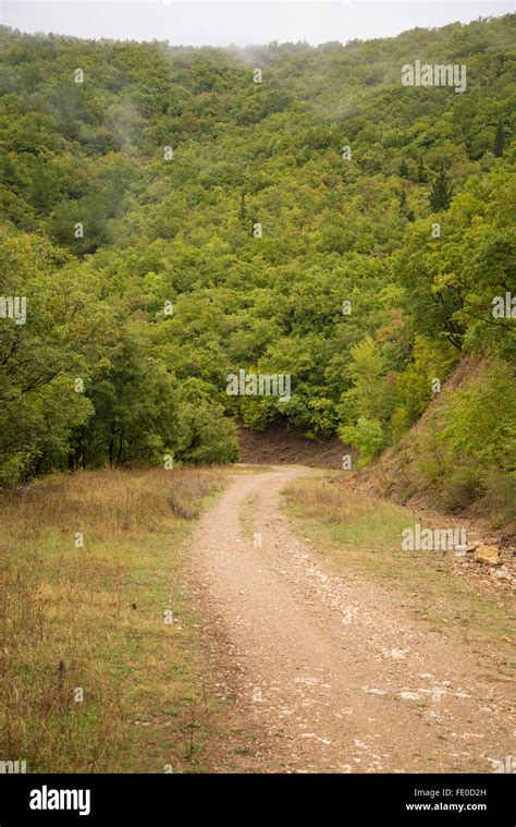 Fall colors in afternoon fog, Xanthi Stock Photo - Alamy