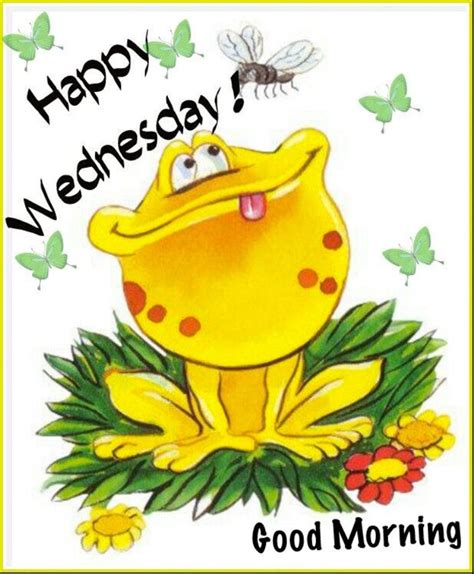 Good Morning Wishes On Wednesday Pictures, Images - Page 3