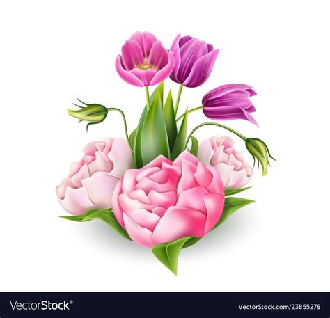 3d realistic peony tulip elegant bouquet Vector Image