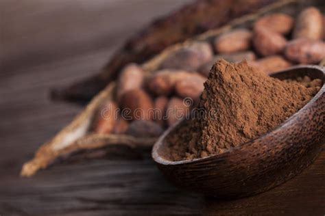 Cocoa Beans In The Dry Cocoa Pod Fruit On Wooden Background Stock Photo ...