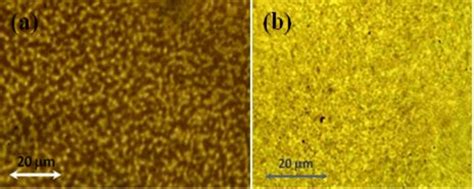 Magnetic domain patterns observed using a transmission-mode polarizing ...