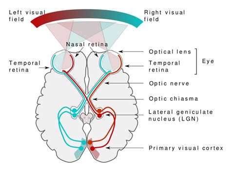 What is Visual Literacy? – Visual Literacy Today