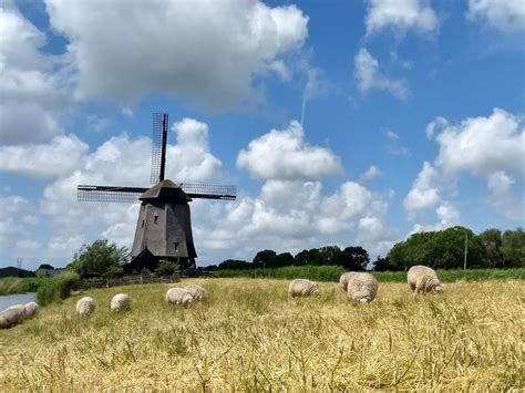 How do Dutch windmills work | That Dam Guide