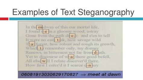 Steganography