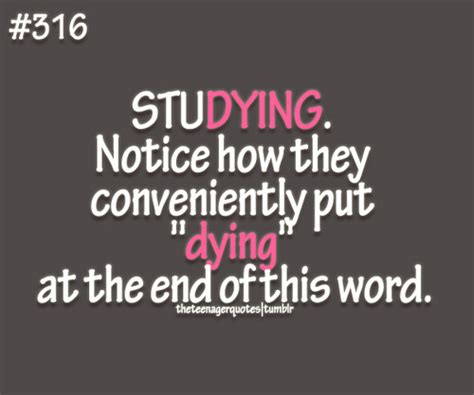 Student Studying Funny Quotes. QuotesGram