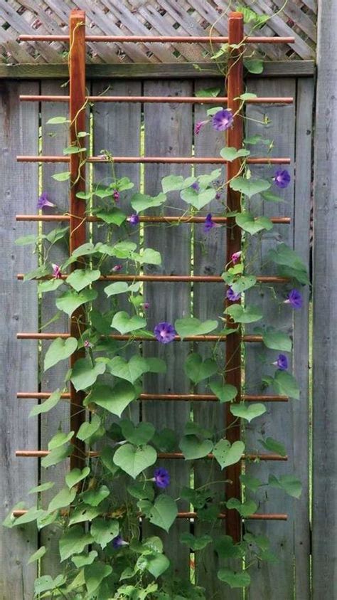 30 Diy Trellis Ideas For Your Garden 2017