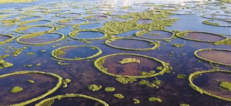 Loktak Lake, the only floating phumdis in Manipur