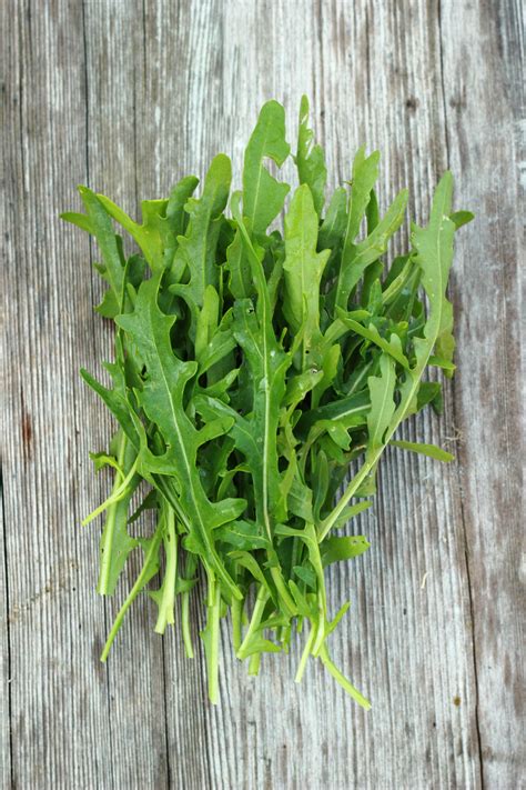 Arugula Seeds for Sale & Guide to Planting Arugula Seeds