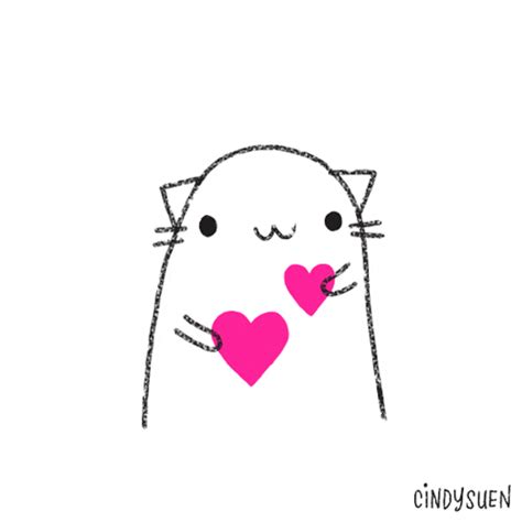 Cat Love GIF - Find & Share on GIPHY