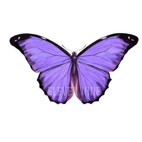 Butterfly Clipart Purple Butterfly Clipart Butterfly Digital - Etsy