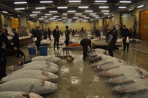 Exploring Japan: The Tokyo Wholesale Fishmarket, Tsukiji