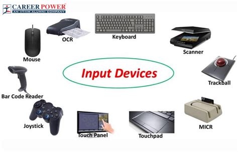 Input Devices of Computer: Definition, Examples, Images