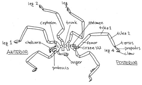 Untitled 1 [lanwebs.lander.edu]