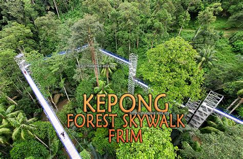 Kepong Forest Skywalk FRIM