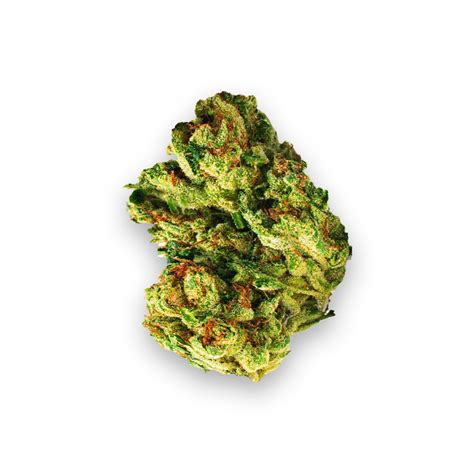 Fatso Strain – Weed.com