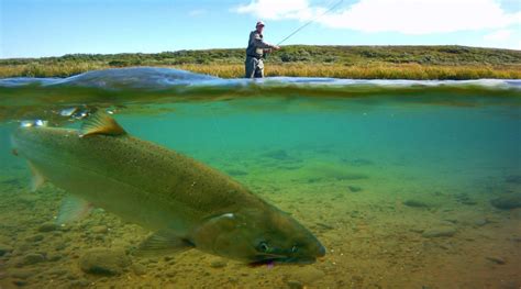 Becharof Rapids Camp Alaska Fishing Lodge