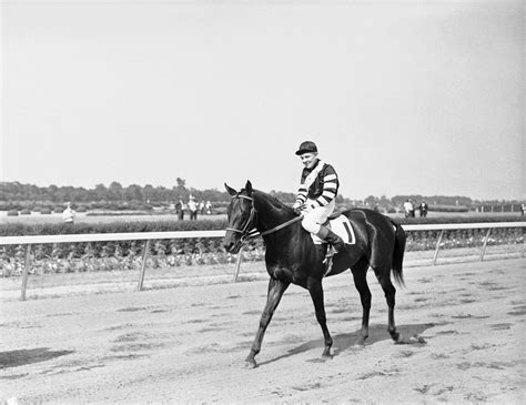 War Admiral - 1937 Picture | Horse racing's Triple Crown winners ...